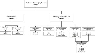 Long-term treatment outcome of Castleman’s disease: A real-world experience